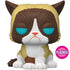 Flocked Grumpy Cat 60 EE Exclusive Funko Pop Vinyl Figure